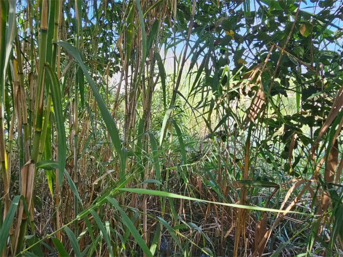 Pis en venda en Oliva amb Jardí privat, Parquet i Traster