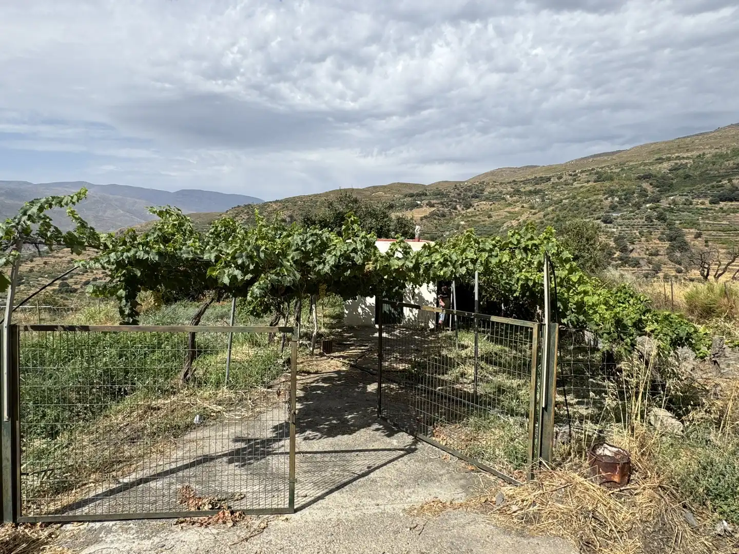 Terreny en venda en Ohanes