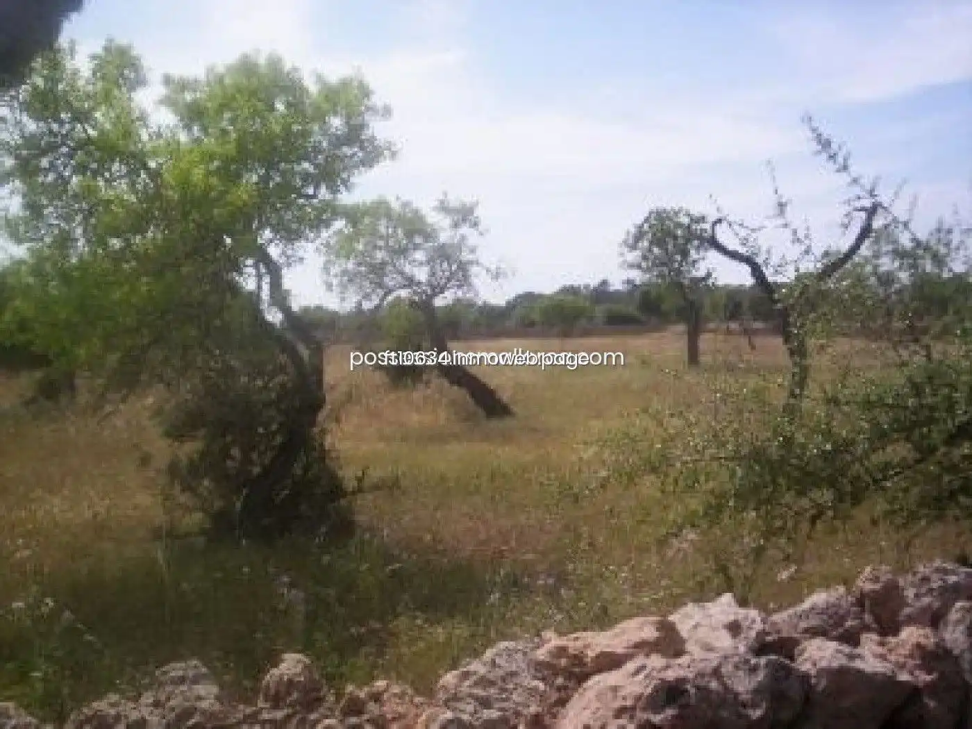 Terreno rustico in vendita a Algaida, imagen 22