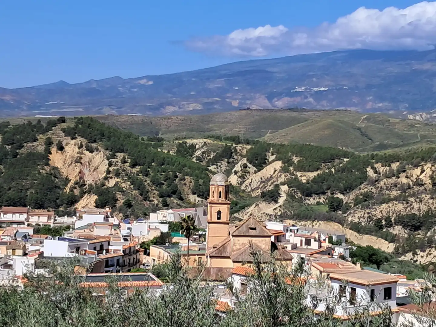 Vista exterior de Finca rústica en venda en Alcolea amb Aire condicionat, Jardí privat i Piscina
