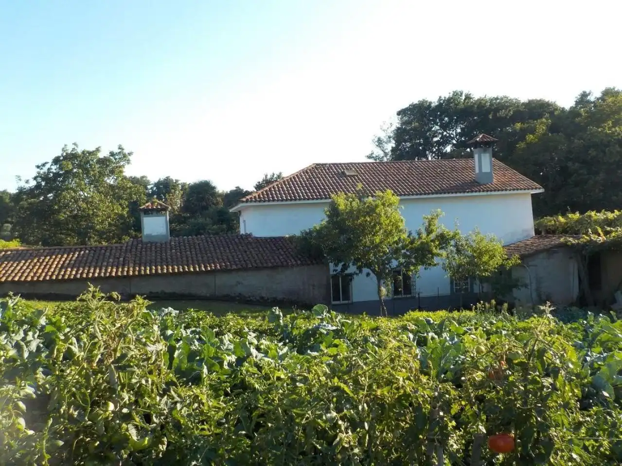 Casa con jardín en venta en Piñeiros- Freixeiro
