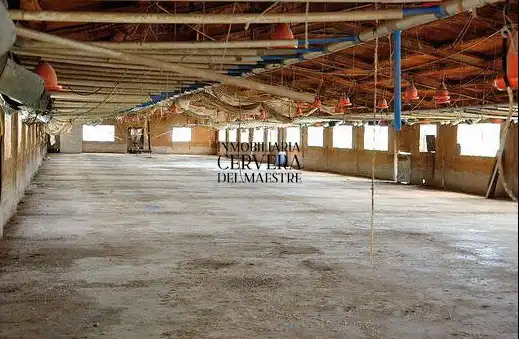 Rustikales Grundstück zum Verkauf in Cervera del Maestre, imagen 4