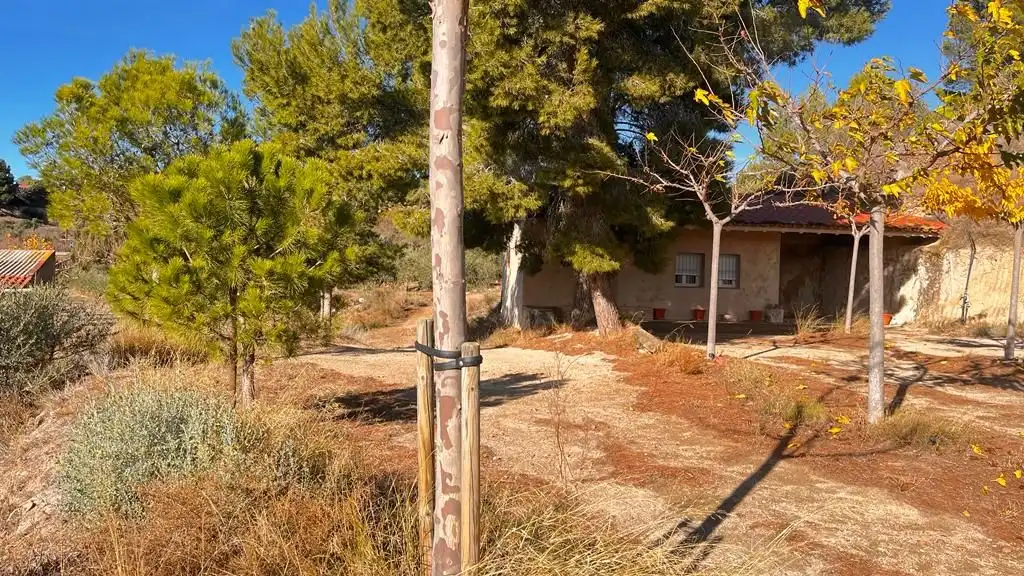 Terreny rústic en venda a Carrer del Dimecres, imagen 7