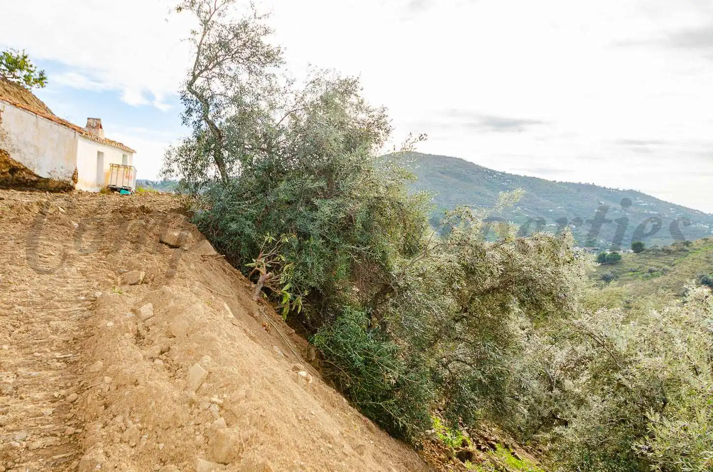 Casa rústica amb jardí en venda a Cómpeta, imagen 4