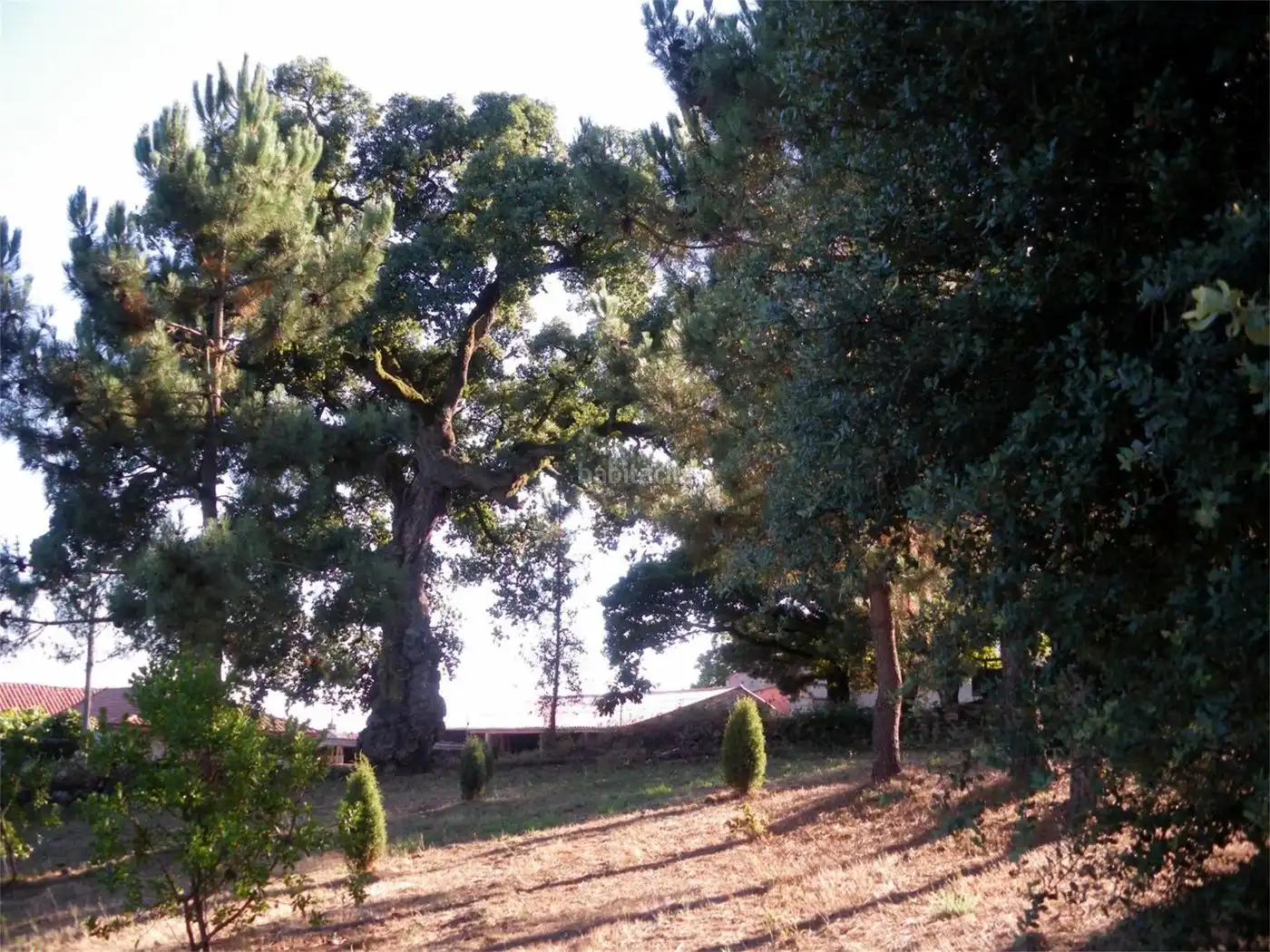 Haus zum Verkauf in Castiñeiro 17, imagen 10