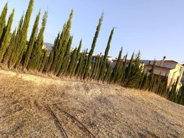 Terrenos y solares en venta en Los Villares