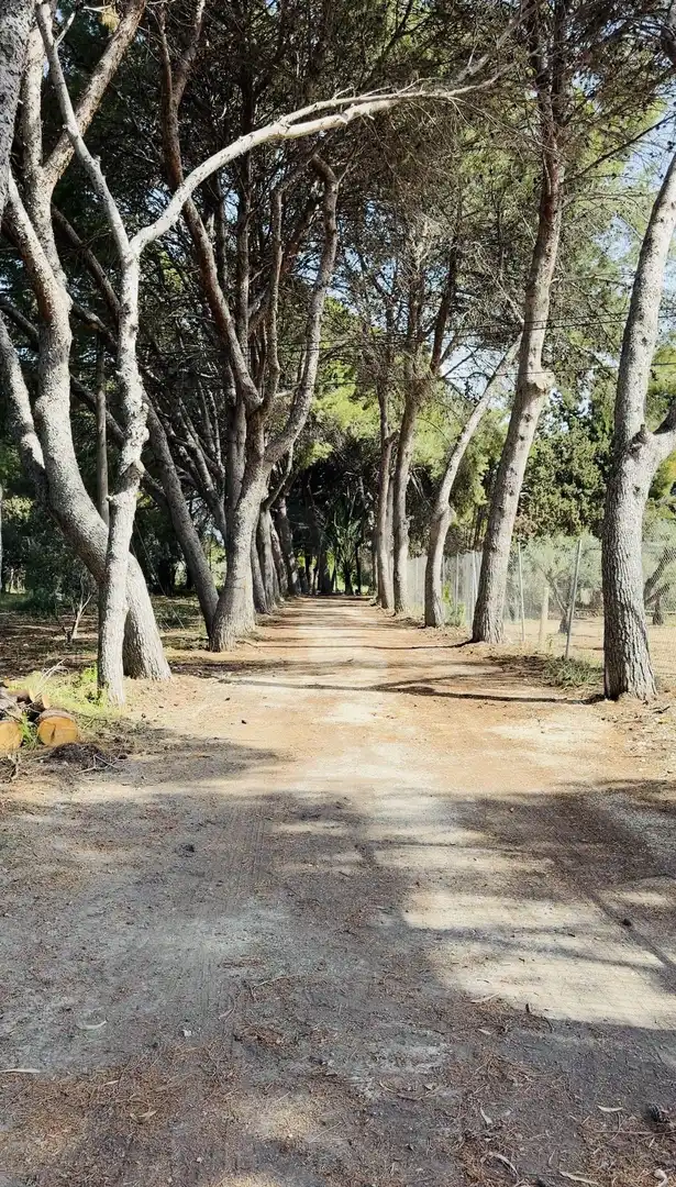 Vista exterior de Finca rústica en venda en Alicante / Alacant amb Terrassa i Piscina