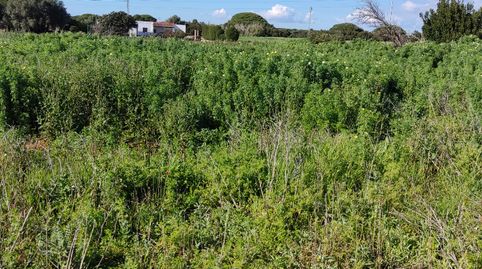 Foto 3 de Terreno en venta en Calle, Barrio Nuevo, Conil de la Frontera