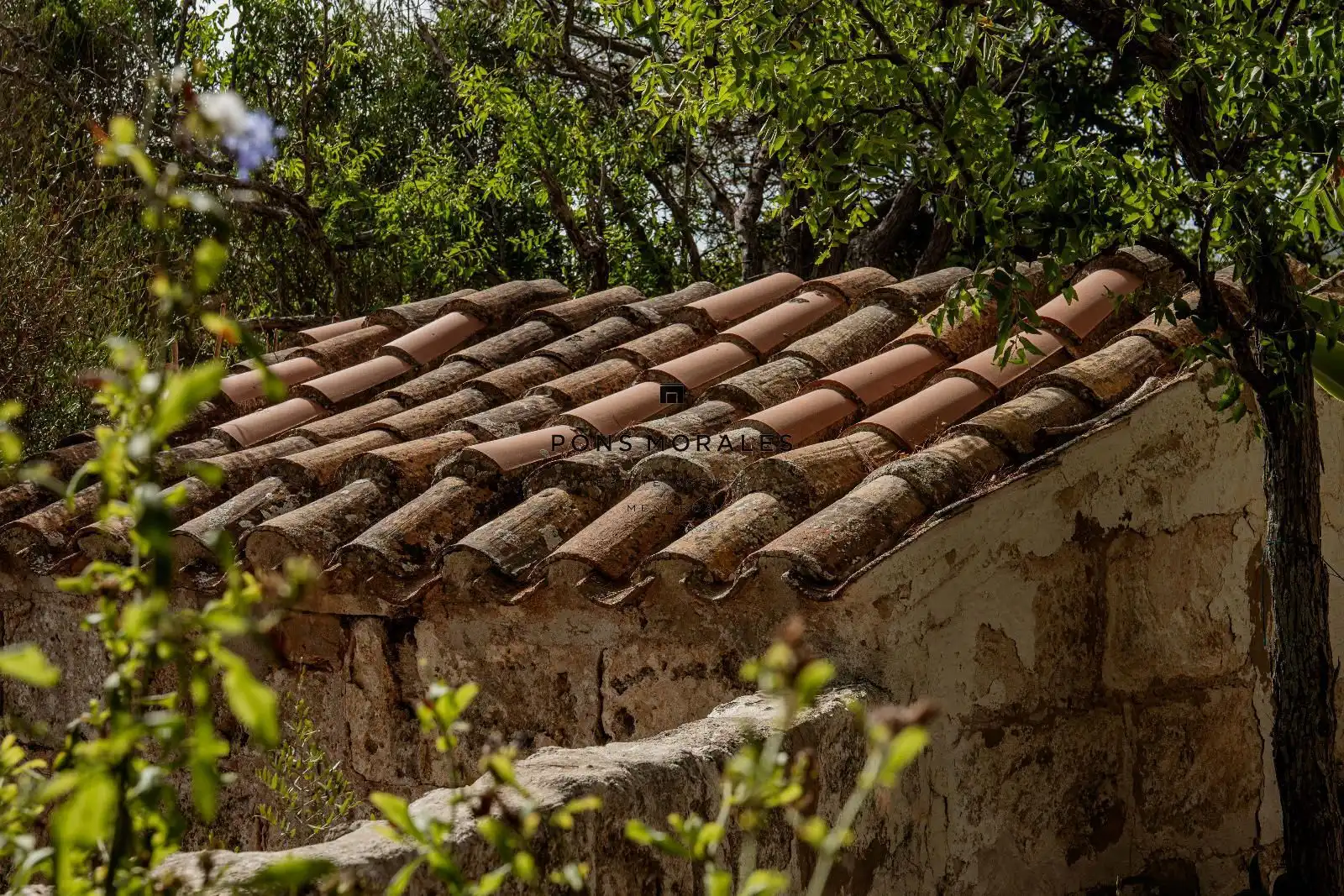 Country house for sale in Ciutadella, imagen 8