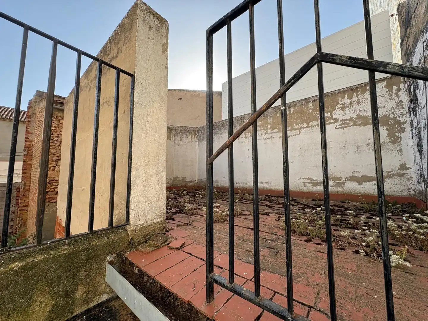 Exterior view of Houses for sale in Alpera
