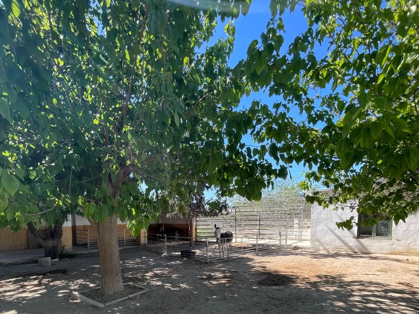 Maison rustique avec piscine à vendre à Desamparados - Hurchillo - Torremendo, imagen 9