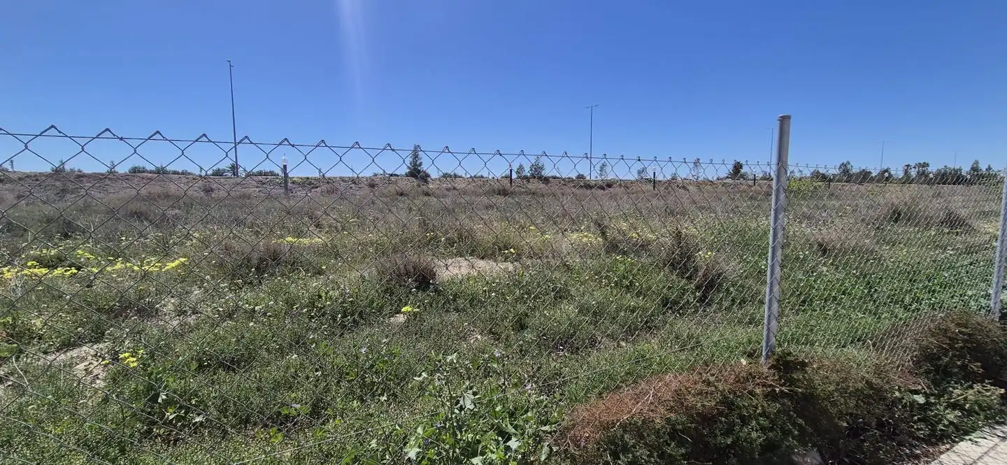 Lands and plots for sale in Elche ciudad, imagen 14
