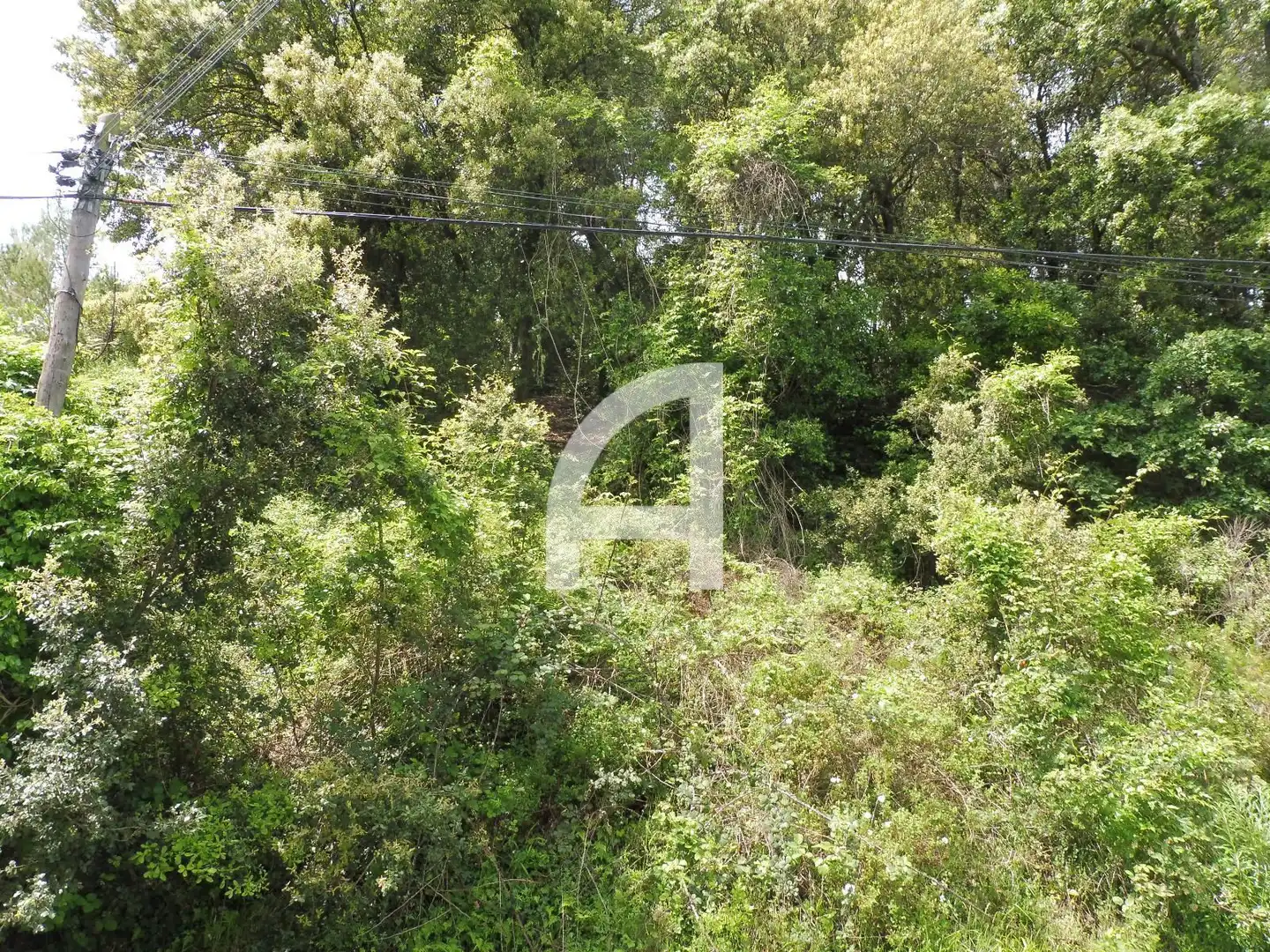 Terreny rústic en venda a Serra de Sant Feliu del Racó, imagen 9