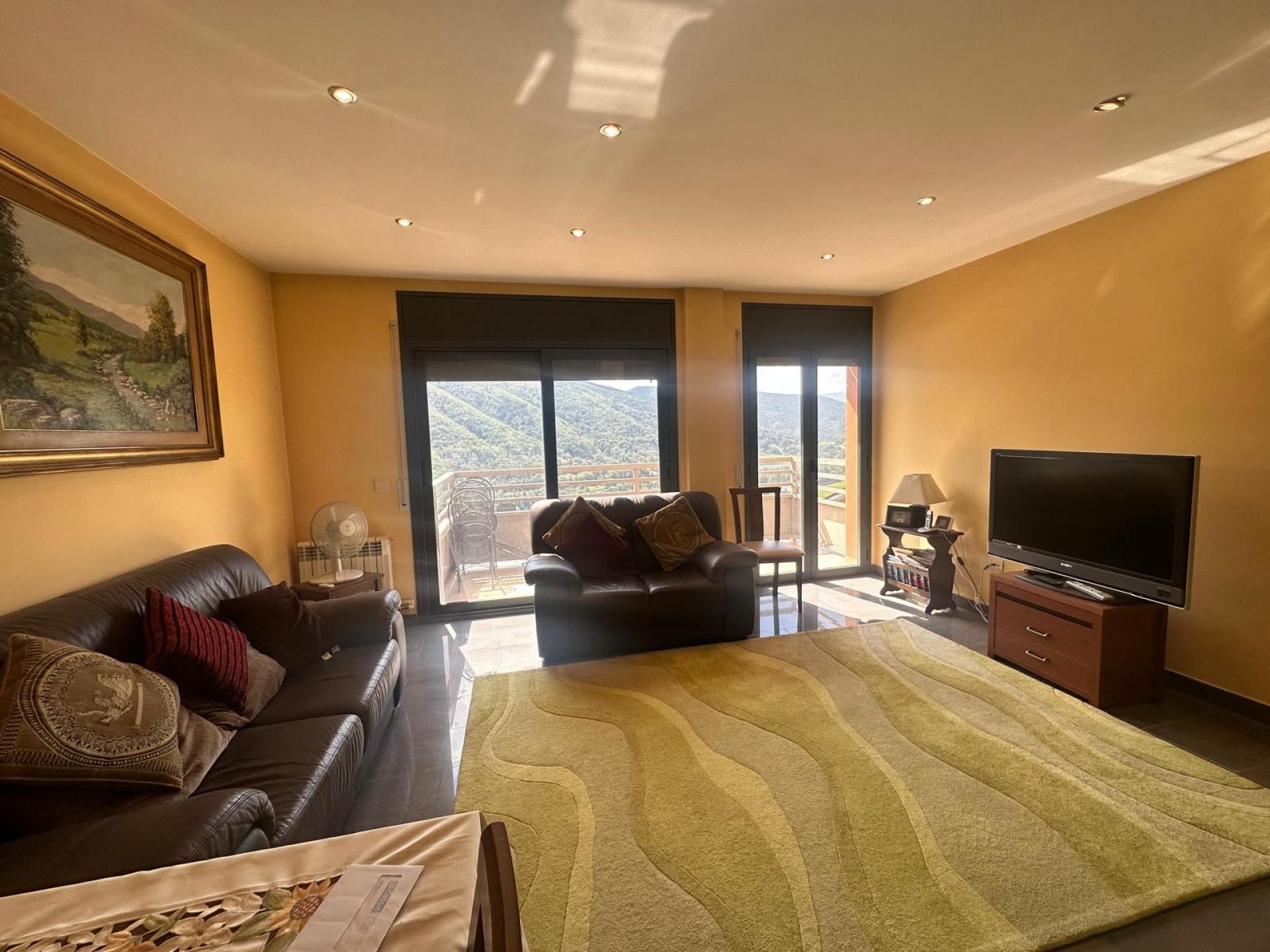 Living room of Flat for sale in Montferrer i Castellbò  with Heating
