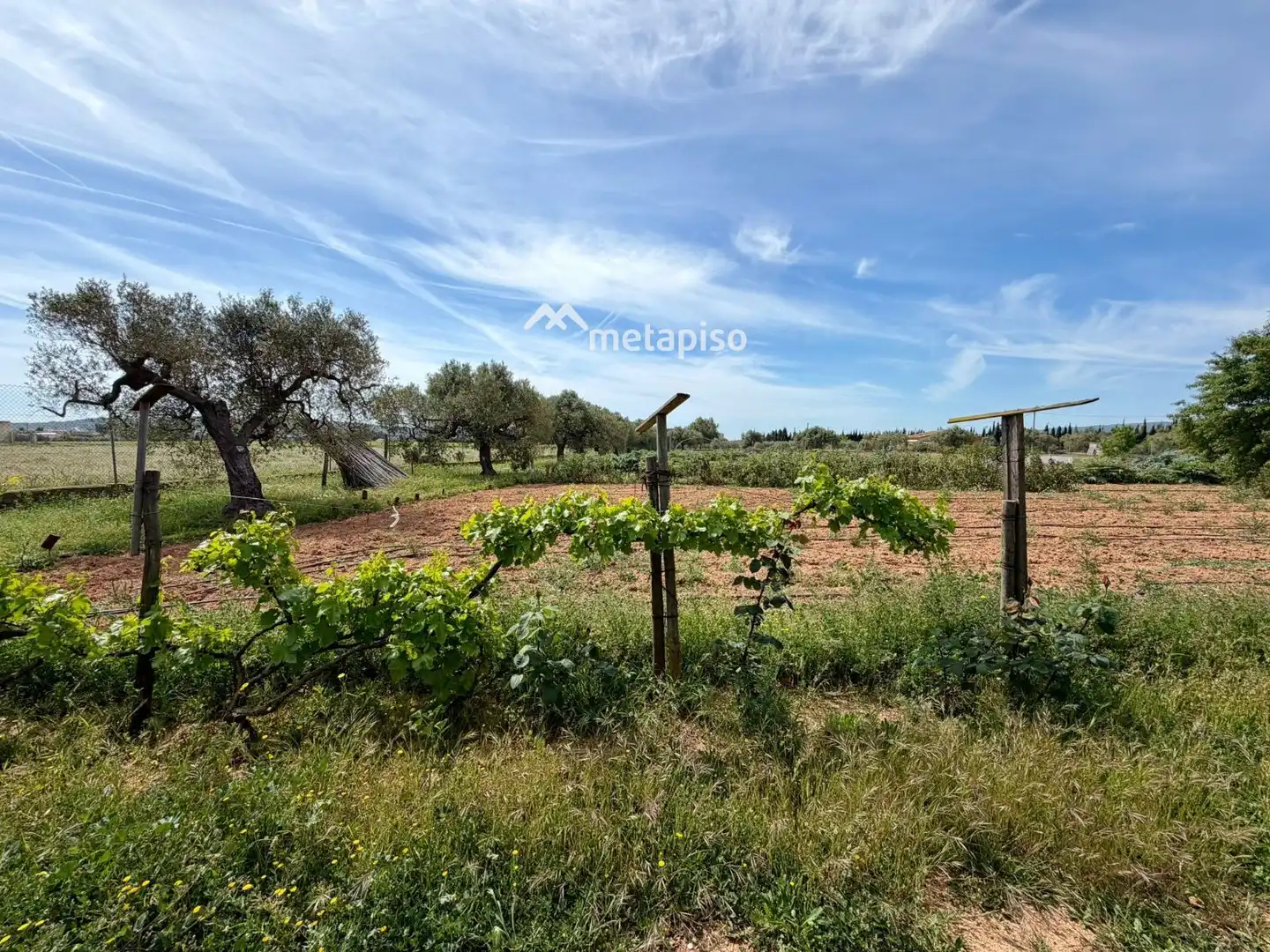 Terreno rustico in vendita a Santa Oliva, imagen 54