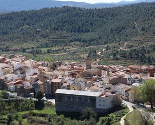 Exterior view of House or chalet for sale in Toràs  with Furnished