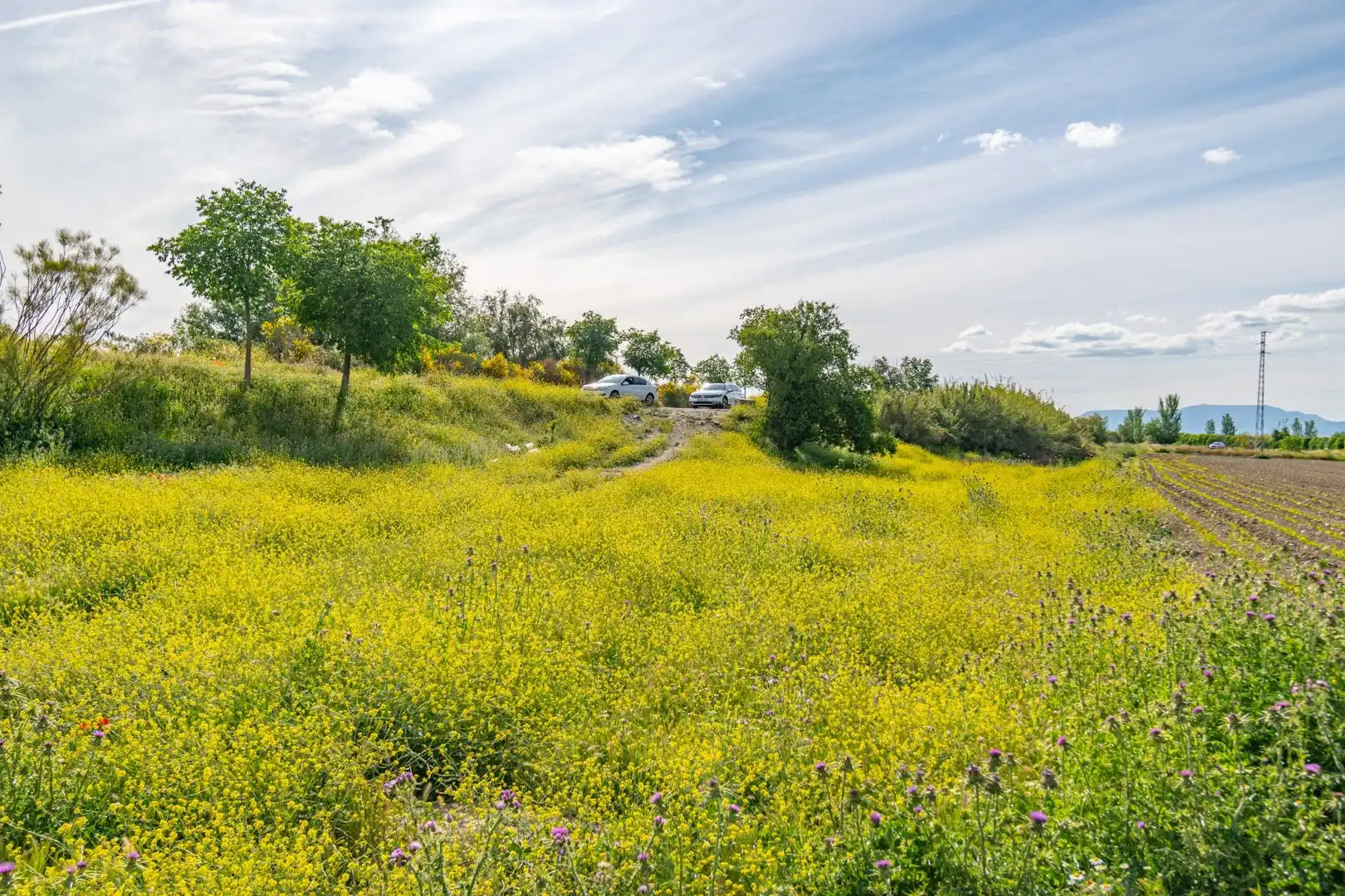 Lands and plots for sale in Polígono 9 Parcela 307 MARACHAT. GRANADA (GRANADA, imagen 21