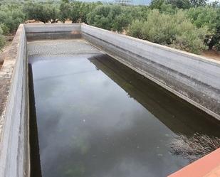 Piscina de Casa o xalet en venda en L'Ampolla