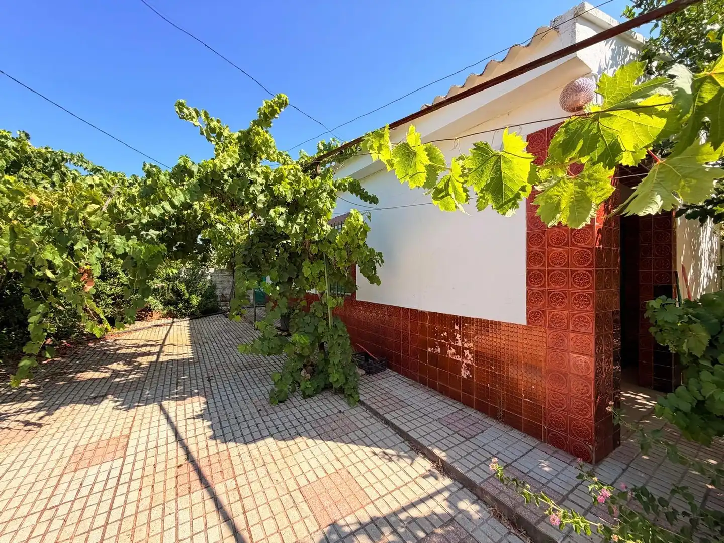 Vista exterior de Casa o chalet en venta en Valverde de Mérida con Jardín privado, Terraza y Trastero