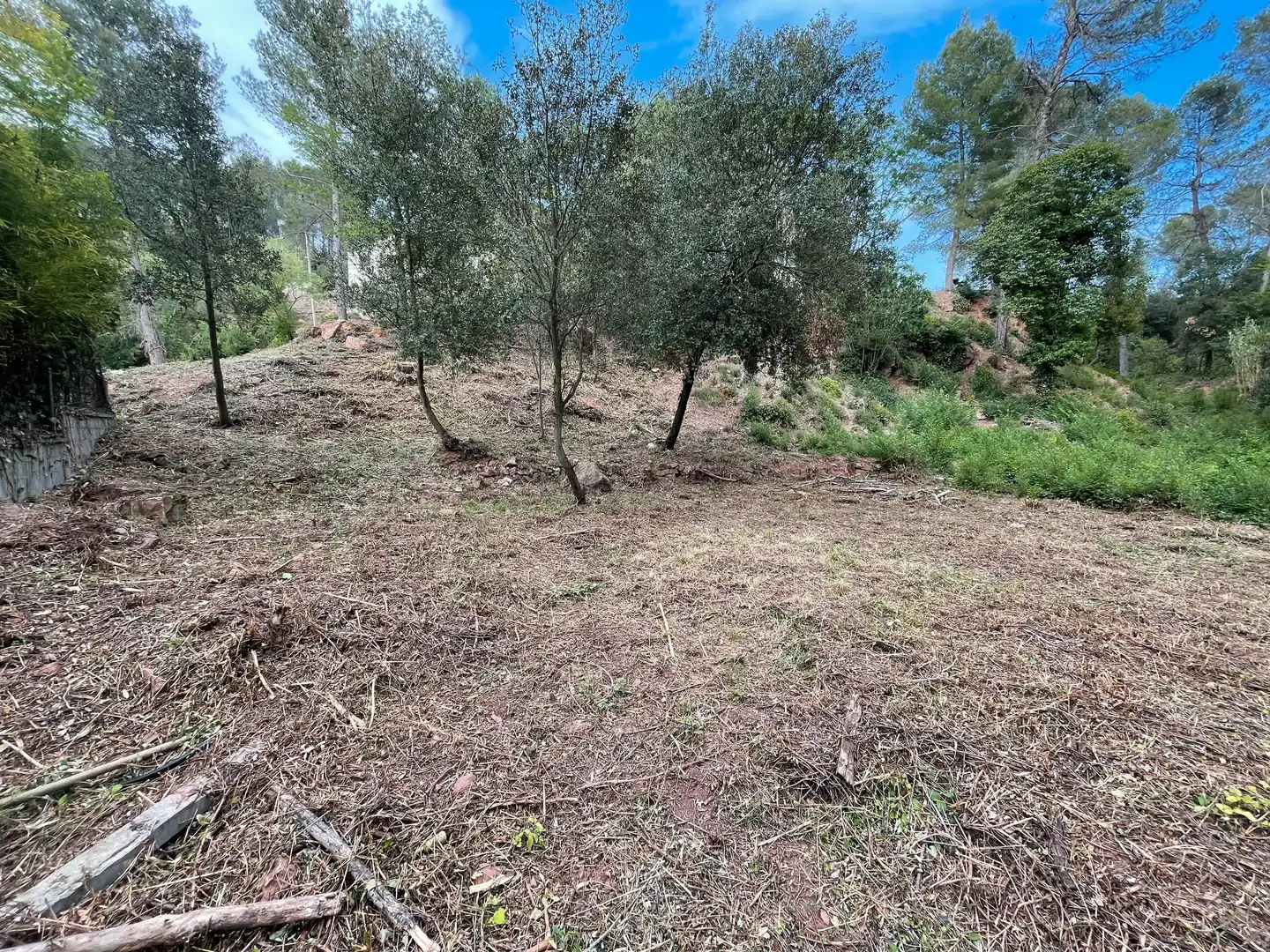 Terreny residencial en venda a Camí Racó, imagen 4