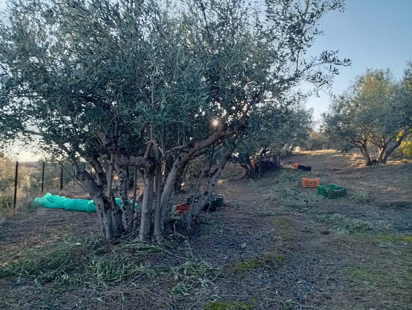 Terreni e lotti in vendita a Villanueva de la Vera, imagen 34
