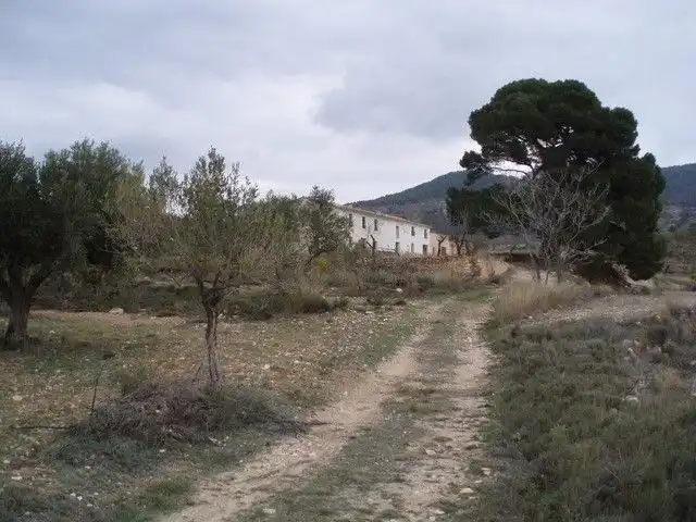 Rural land for sale in torremanzanas, imagen 7