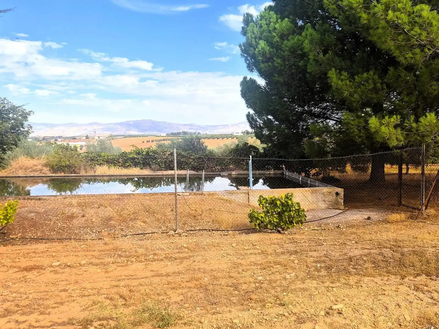 Terreny rústic en venda a Moraleda de Zafayona