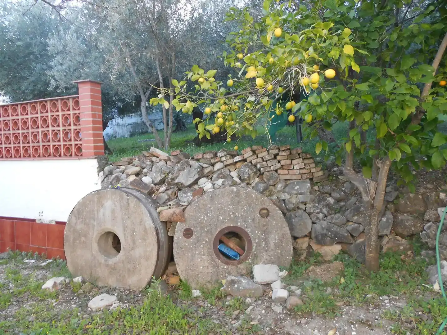 Jardí de Casa o xalet en venda en Montejaque amb Jardí privat, Traster i Moblat