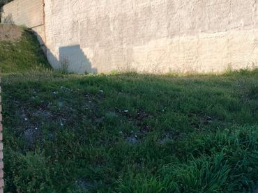 Terreno residenziale in vendita a Calle Real