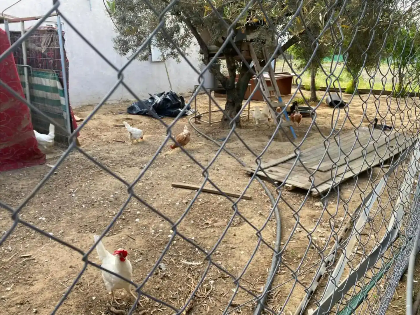 Jardí de Residencial en venda en Utrera