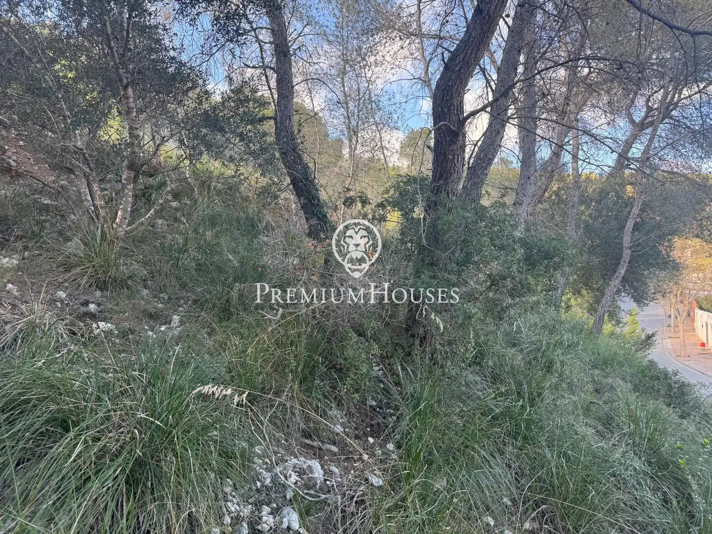 Residential land for sale in Mas Alba, imagen 4