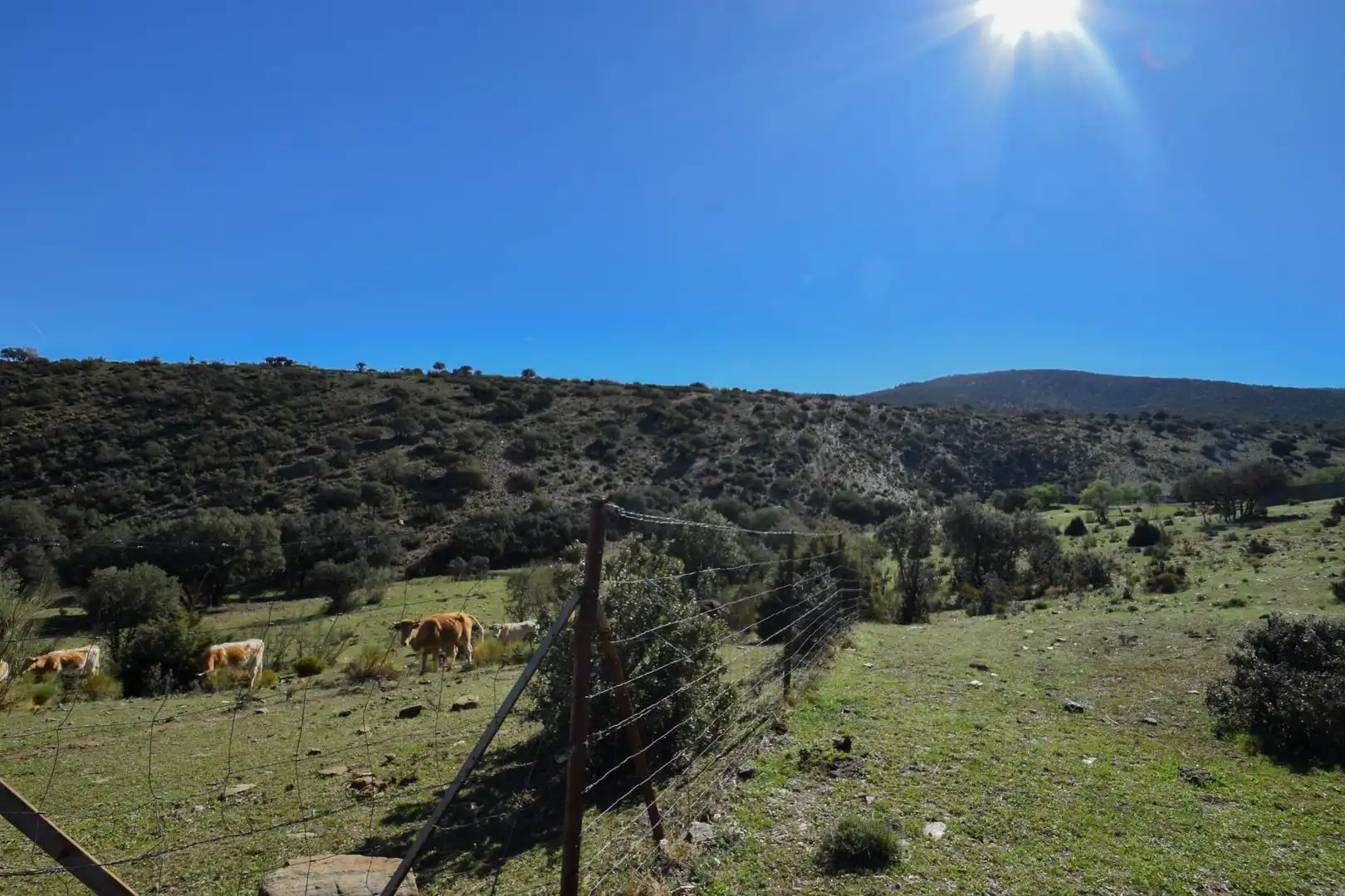 Terreno en venta en Paraje de las Perdices, Lugros