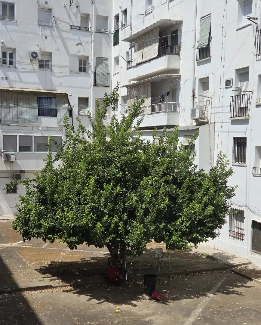 Exterior view of Flat for sale in Badajoz  with Air Conditioner, Furnished and Washing machine