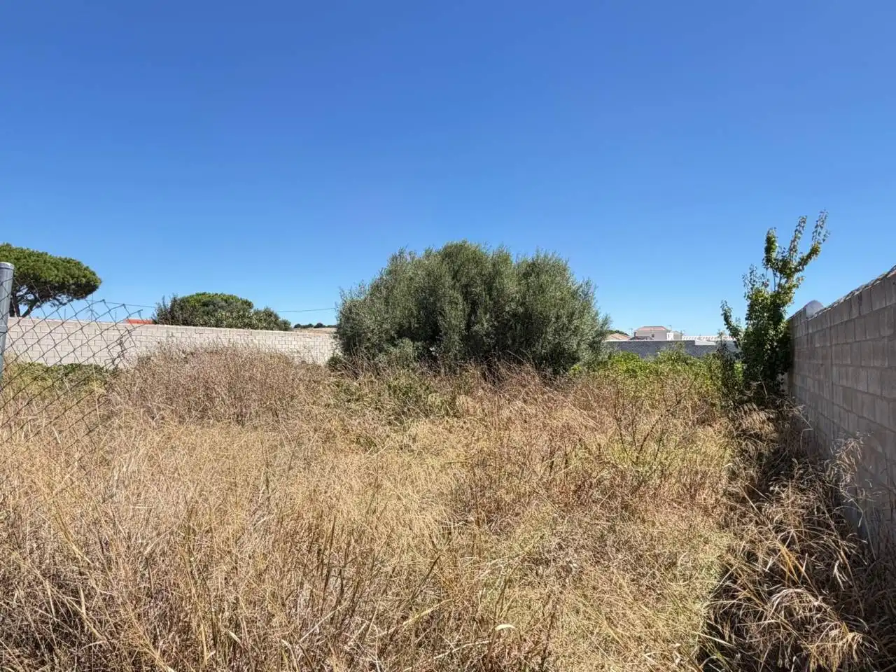 Grundstücke zur Miete in Las Lagunas - Campano