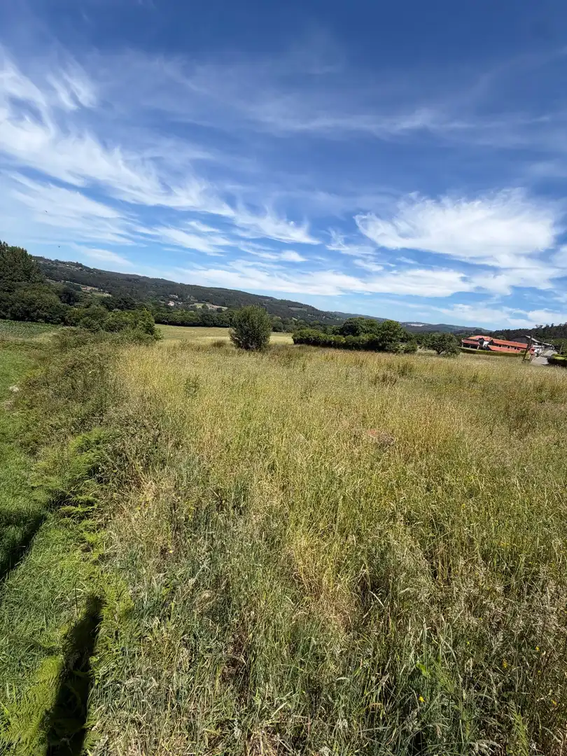 Terreni e lotti in vendita a LEIRA NOVA, imagen 12