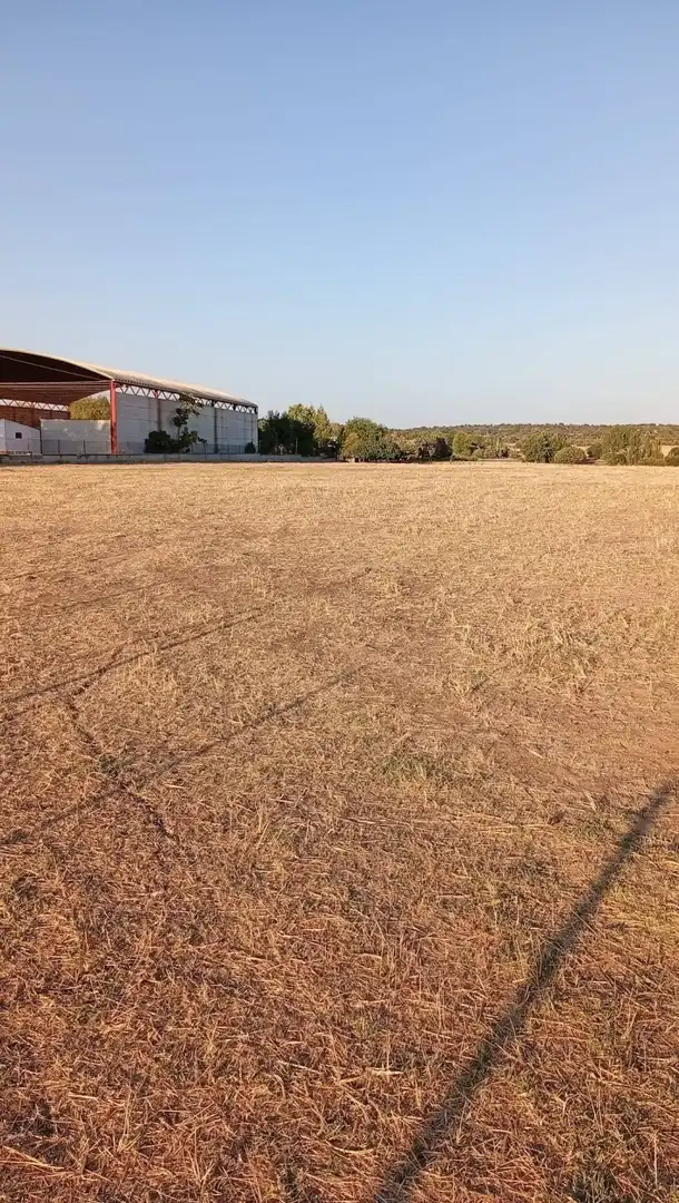 Terreny residencial en venda a Aldea del Cano, imagen 11