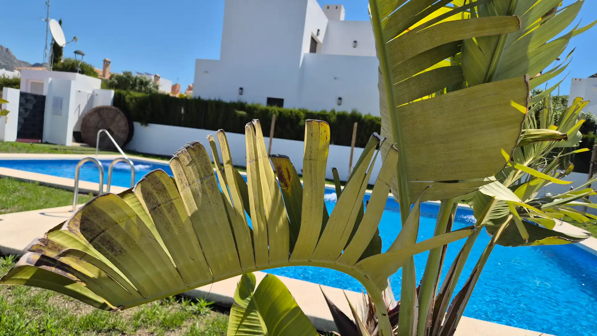 Jardín de Casa o chalet en venta en Busot con Aire acondicionado, Calefacción y Jardín privado