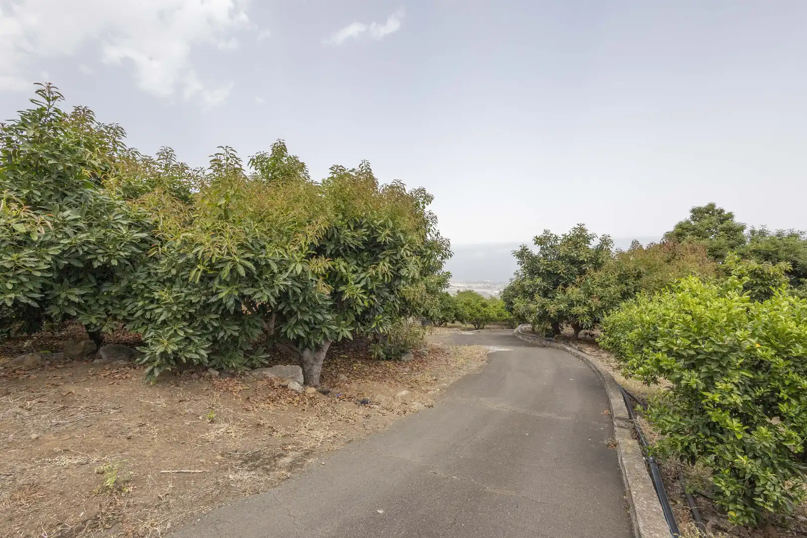 Houses for sale in La Orotava  with Private garden, Terrace and Storage room
