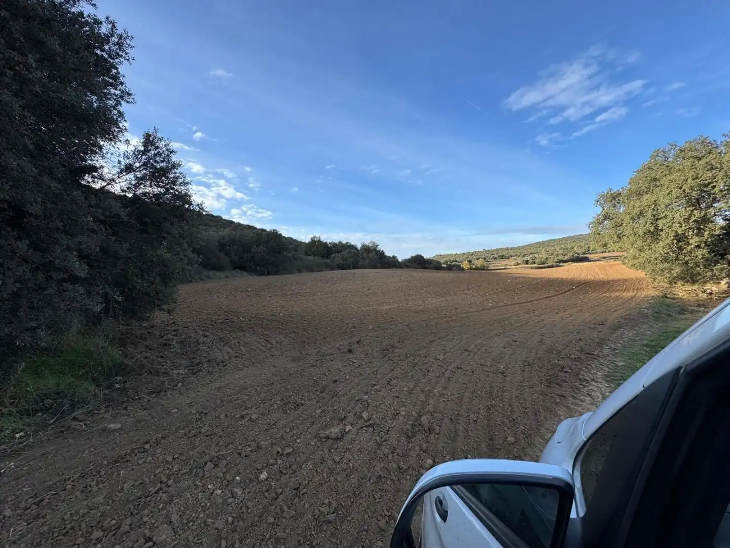 Land for sale in Peralta de Calasanz