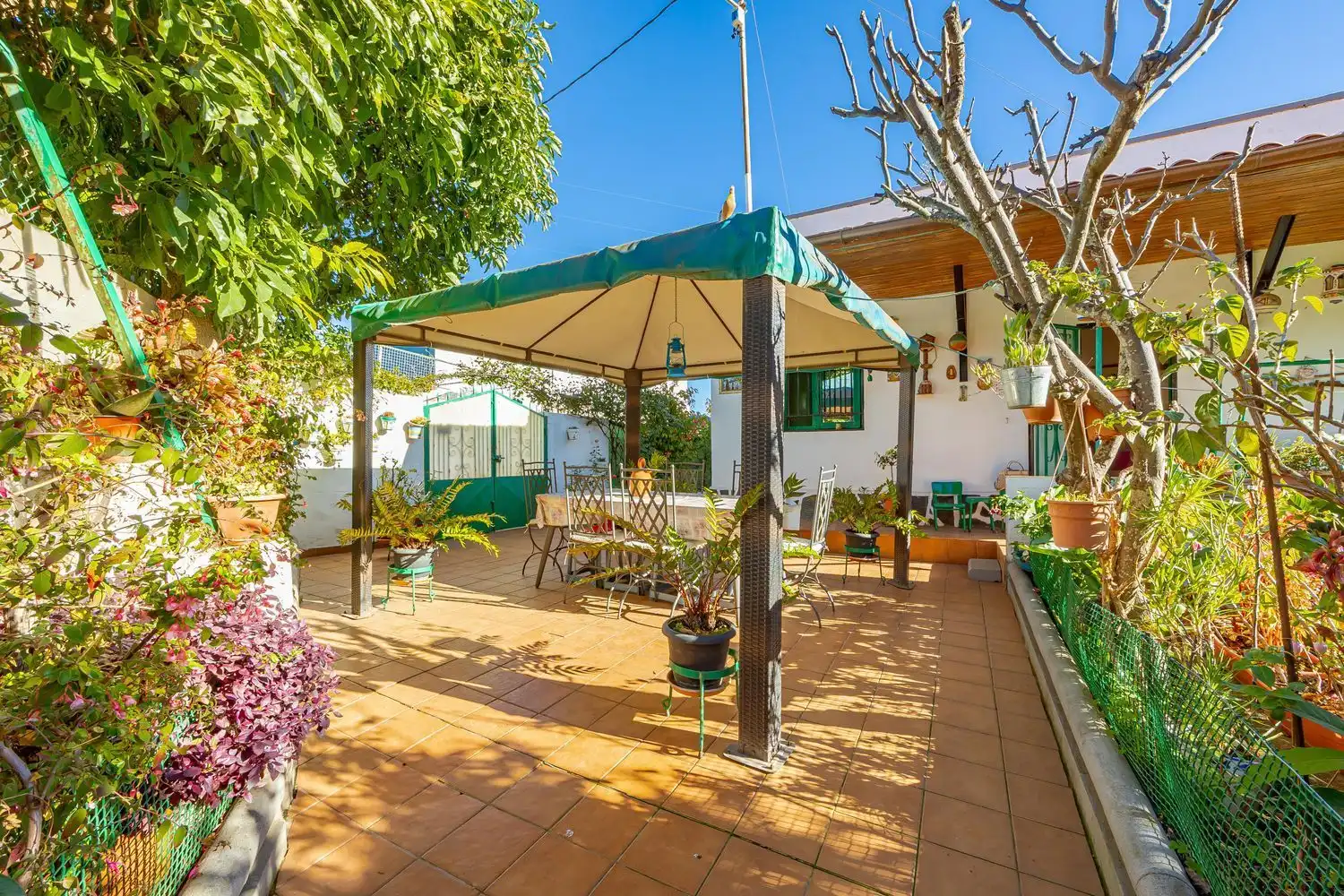 Terrassa de Casa o xalet en venda en Vega de San Mateo amb Jardí privat i Terrassa