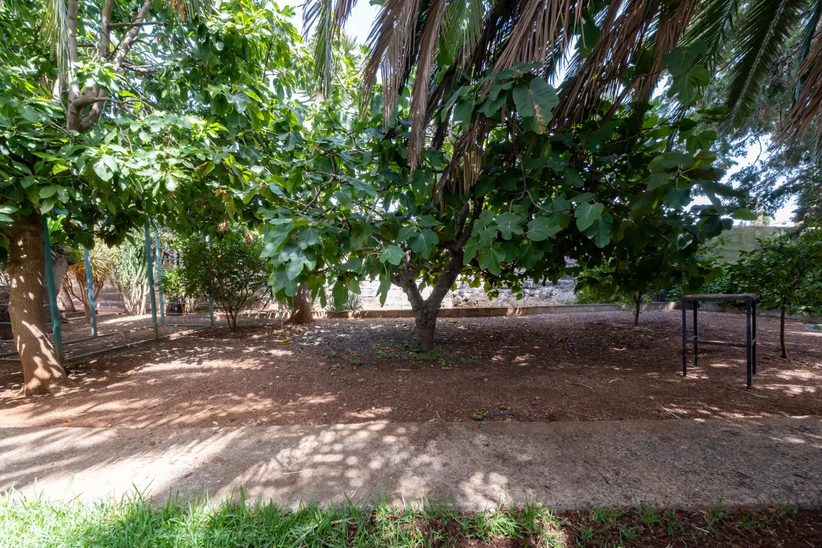 Casa amb jardí en venda a Calle el Cercadillo 1, imagen 9