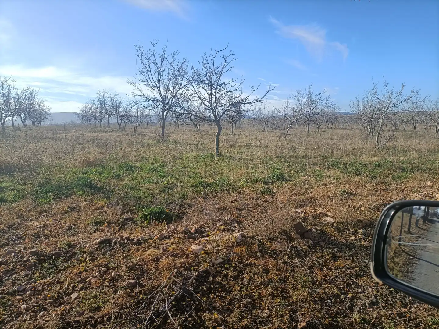 Terreno en venta en Manzaneque
