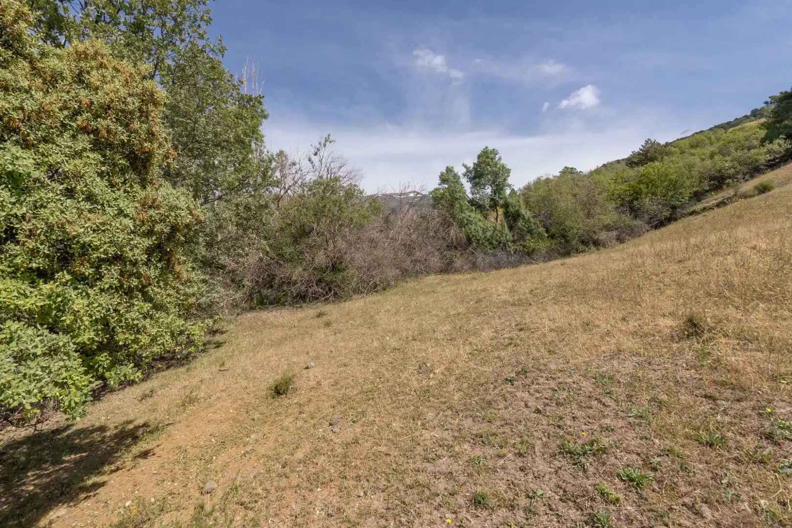 Terreno en venta en Soportújar