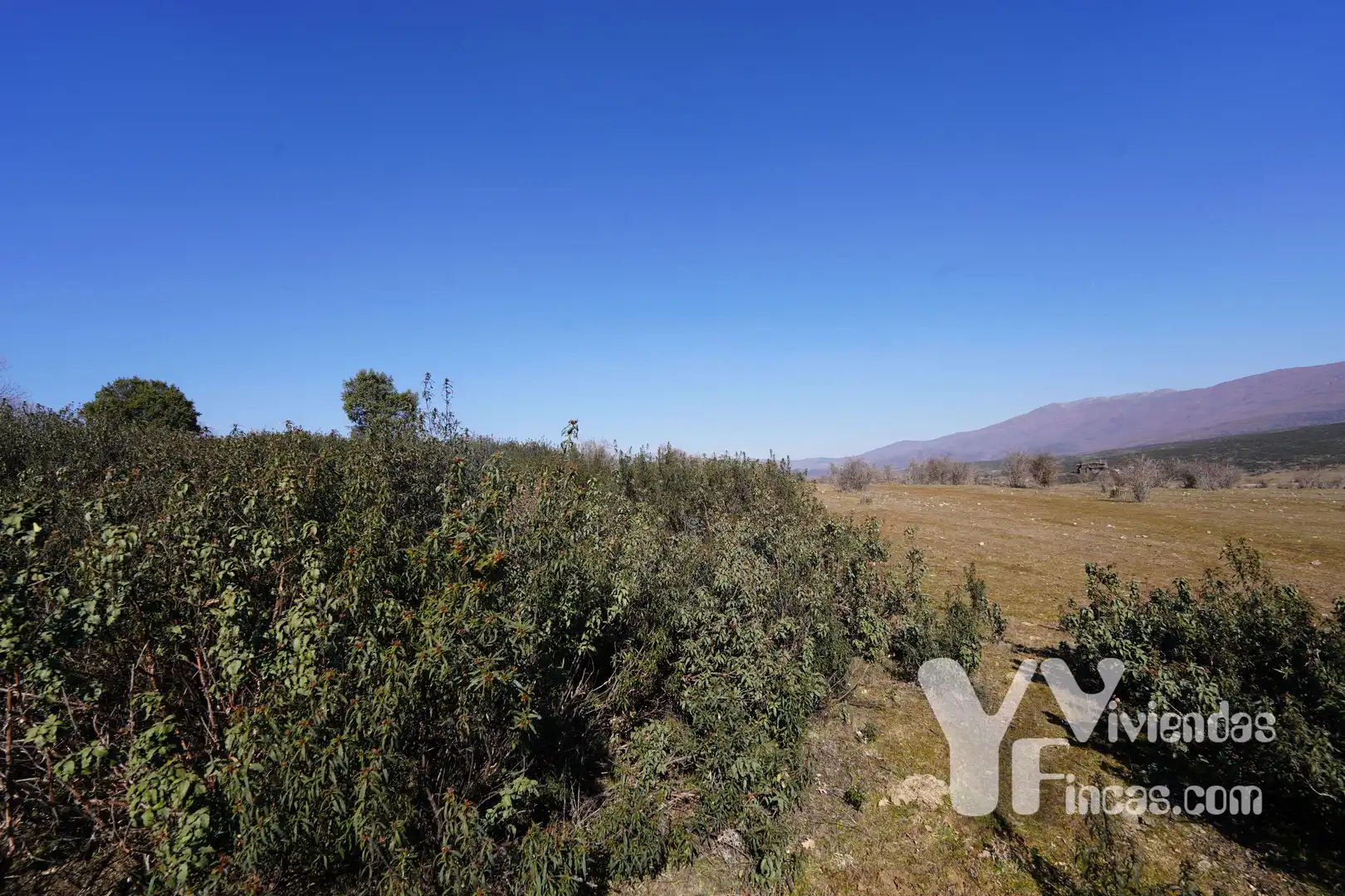 Terreno rústico en venta en Campillo de Ranas, imagen 22
