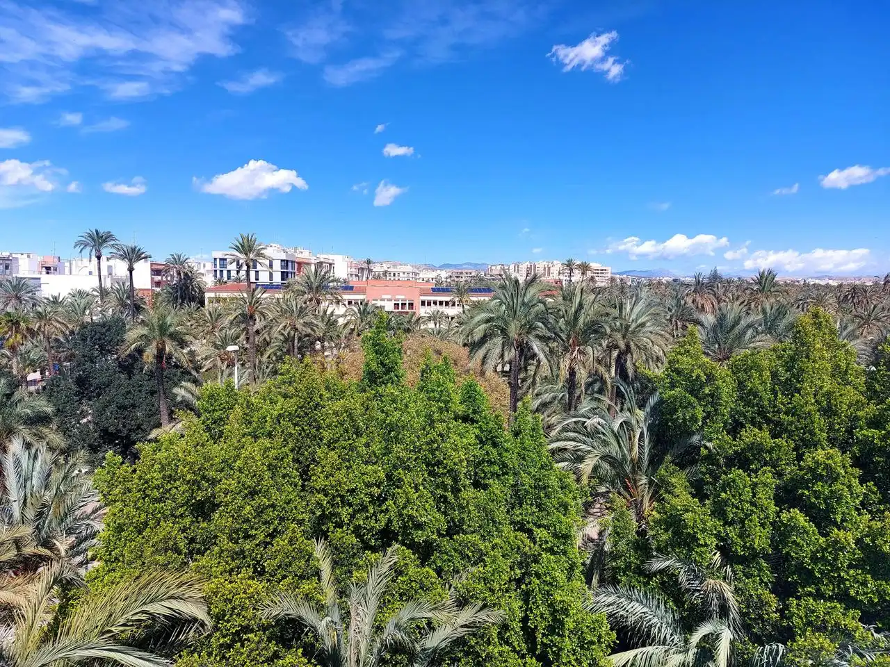 Penthouse mit Aufzug zur Miete in Elche ciudad, imagen 18