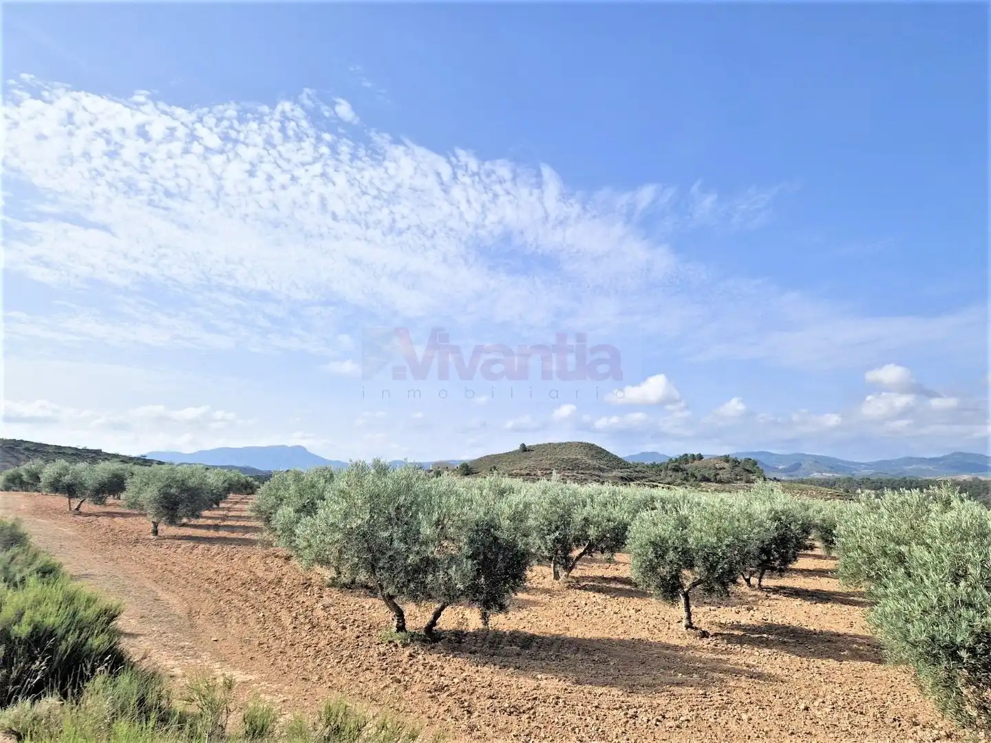 Casa o chalet en venta en Lorca