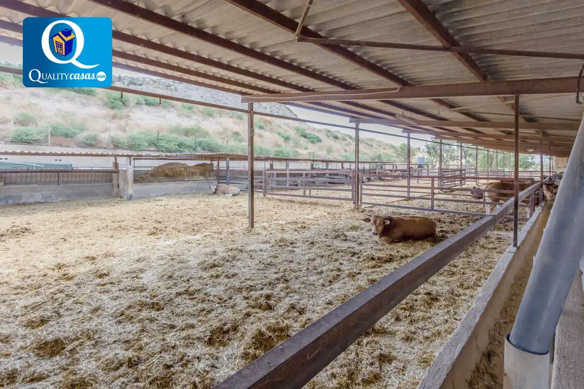 Chalet en venta en Partidas de Alicante, imagen 45