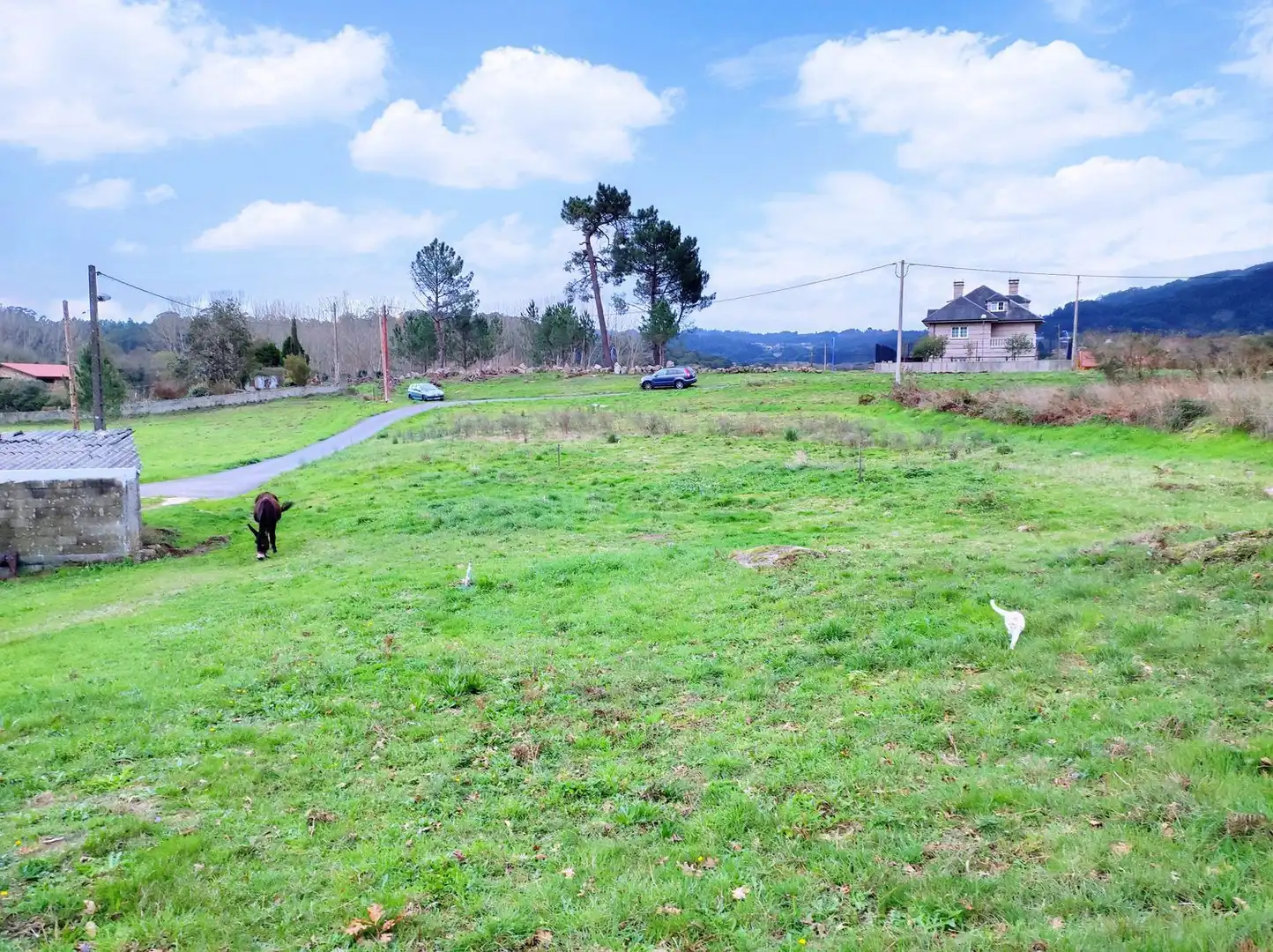 Terreny rústic en venda a Peiro de ABAIXO, imagen 5
