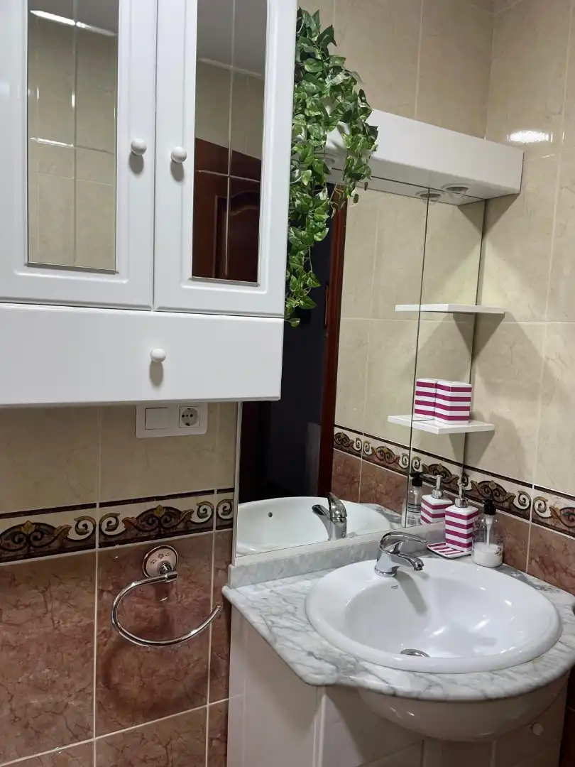 Bathroom of Flat for rent in Granada  with Furnished, Oven and Washing machine