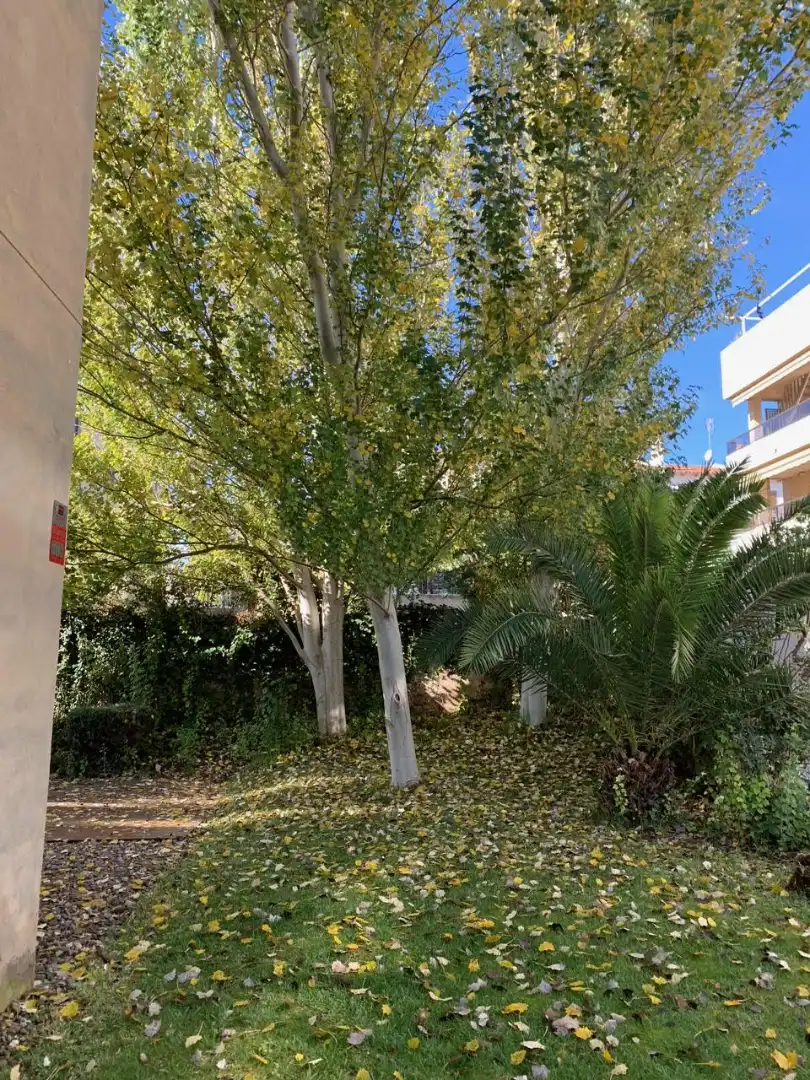 Ground floor for sale in Carrer d'Aragó, Platja de la Paella